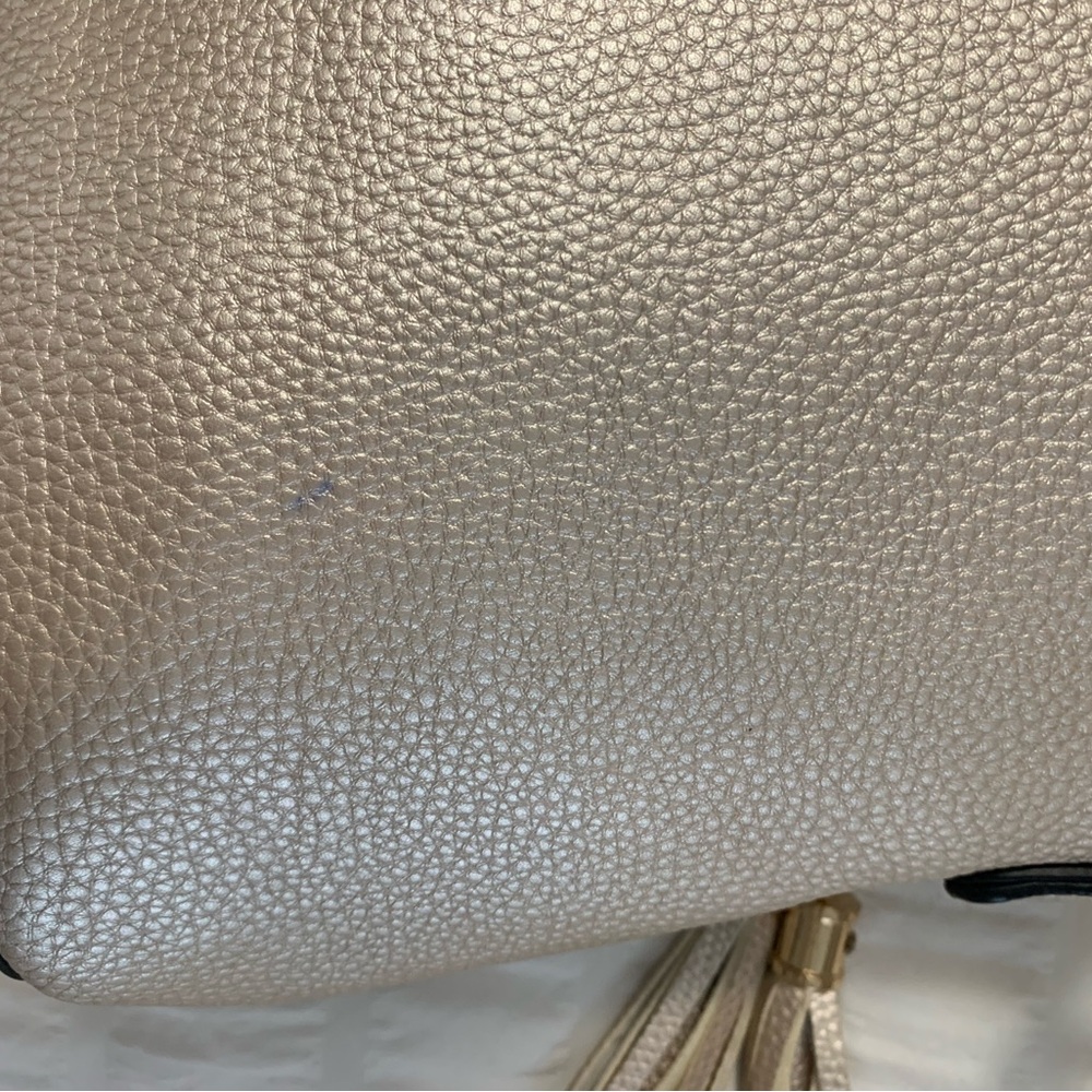 Champagne And Silver Cross Body - Picture 13 of 16